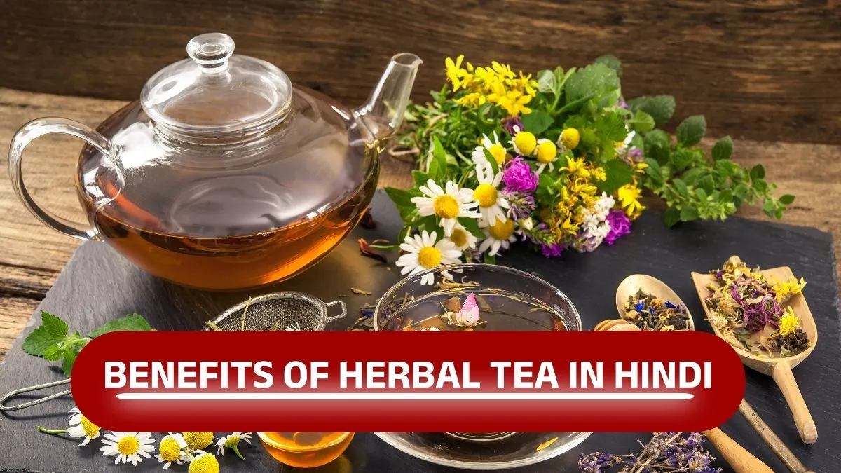 Benefits of Herbal Tea in Hindi